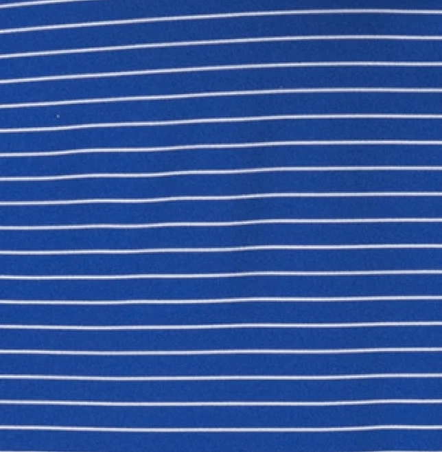 Embry-Riddle Beau Striped Performance Jersey Polo - Image 9