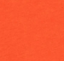 Syracuse Heathered Spencer T-Shirt - Image 4