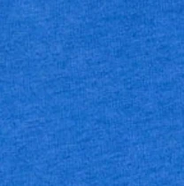 Green Bay Packers Heathered Spencer Crewneck T-Shirt - Classic Logo - Image 6
