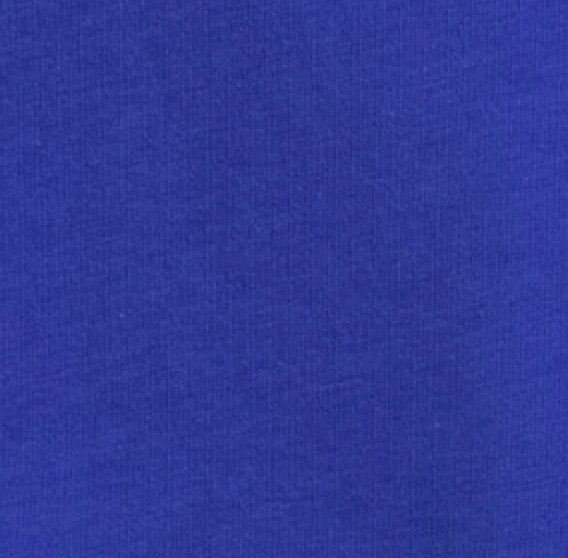 Women's Kansas Penny Crewneck Sweatshirt - Script Logo - Image 17