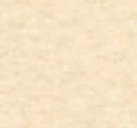 Women's Georgia Tech Tomi Full Zip Jacket - Buzz Logo - Image 6